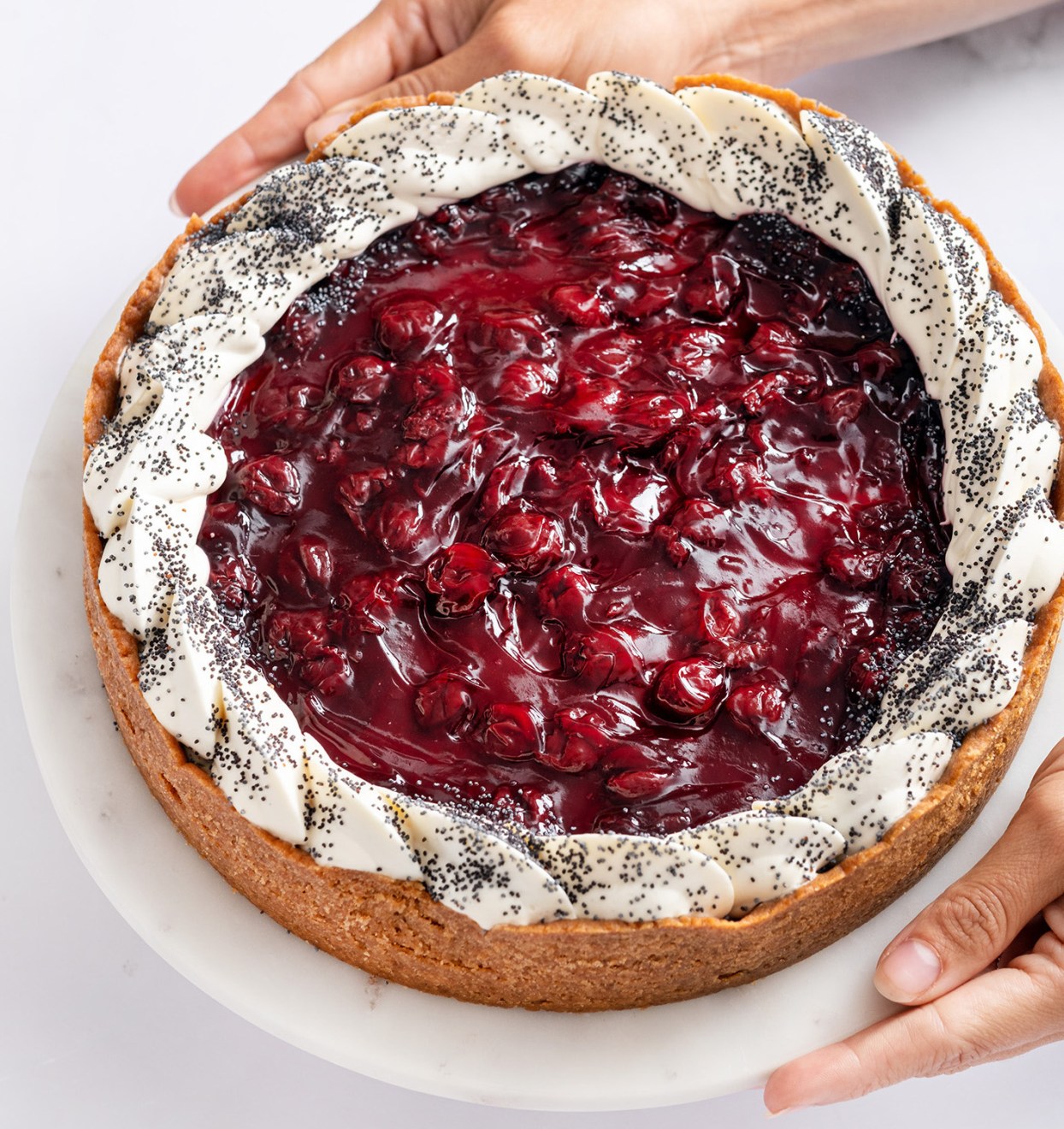 Praliné dort Ollies